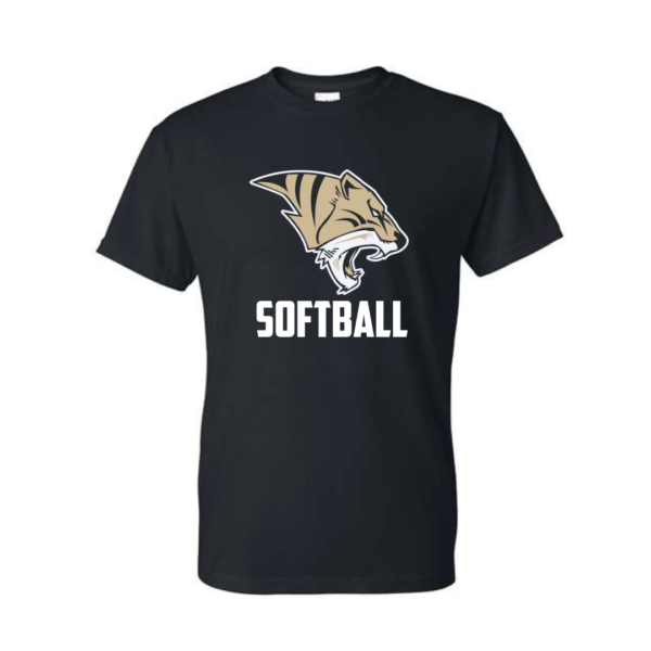tigers baseball (copy)