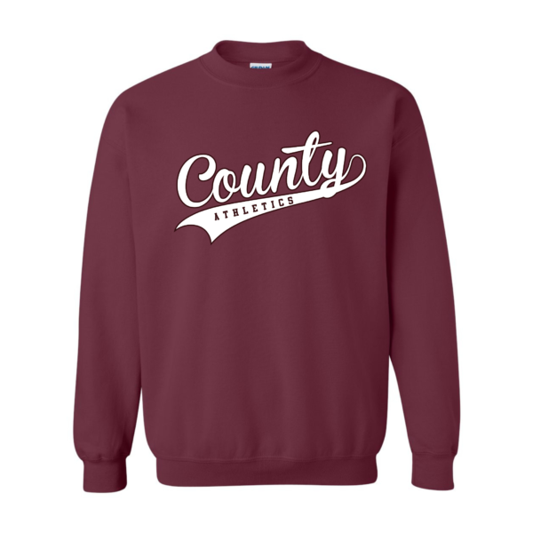 dinger nation hoodie (copy)