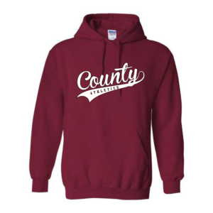 dinger nation hoodie (copy)