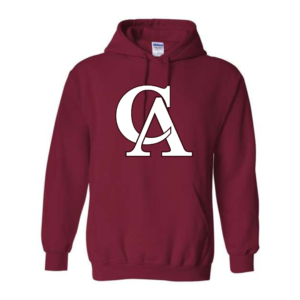 dinger nation hoodie (copy)