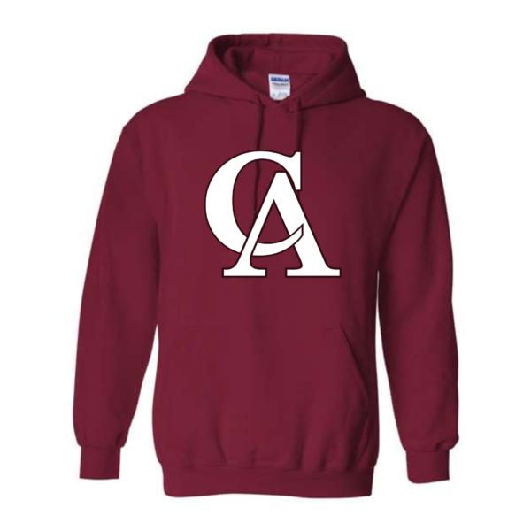 dinger nation hoodie (copy)