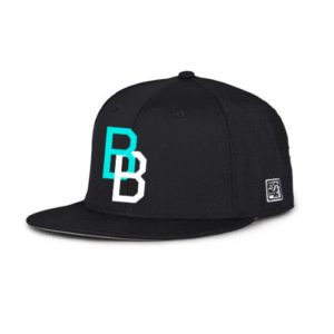lc all stars the game hat (copy)