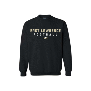 eagles varsity sweatshirt (copy)