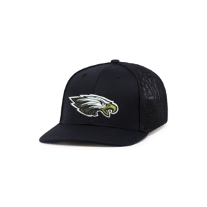 eagles the game hat (copy)