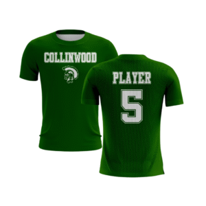 collinwood fleece lined hoodie