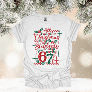 aon ash gildan (multiple options) (copy)