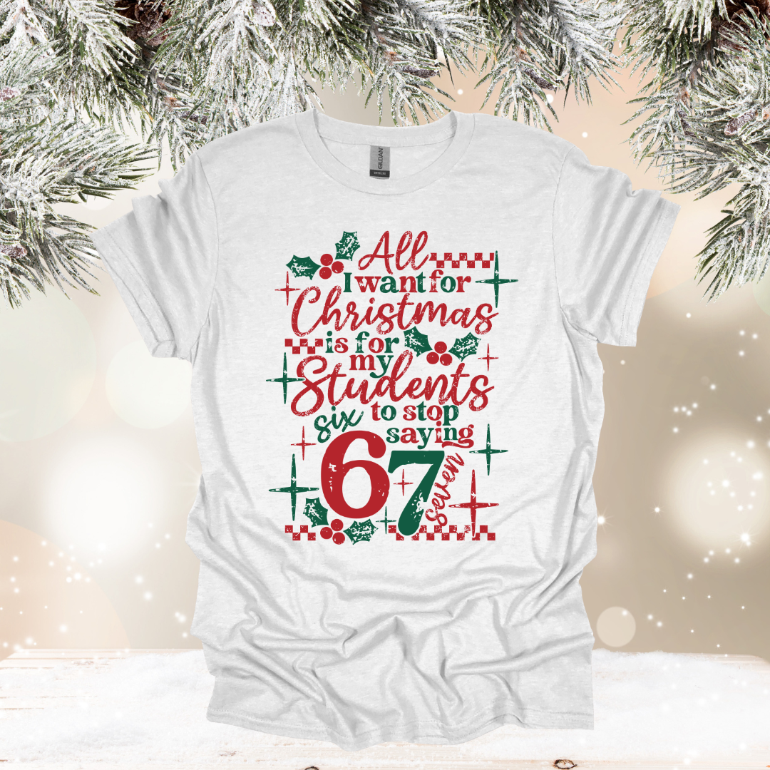 aon ash gildan (multiple options) (copy)