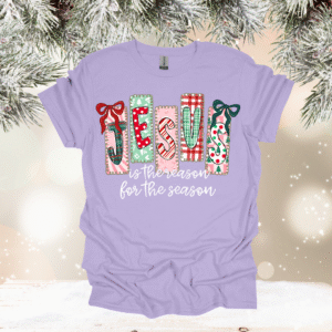 jesus is the reason gildan t shirt