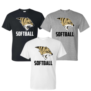 script tigers baseball t shirt (copy)