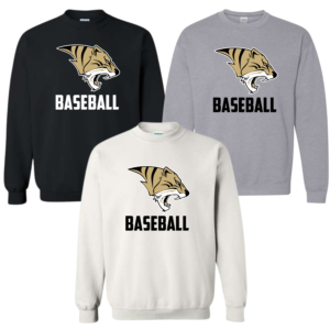 mascot softball cotton sweatshirt (copy)