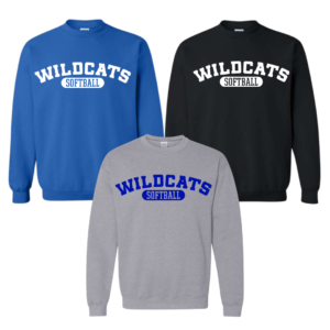 grunge wildcats hoodie (copy)