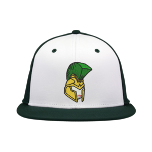 the game gb999 dark green trojans hat
