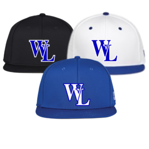 grunge wildcats hoodie (copy)