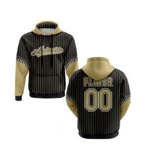 ardmore baseball hoodie (johnson) (copy)