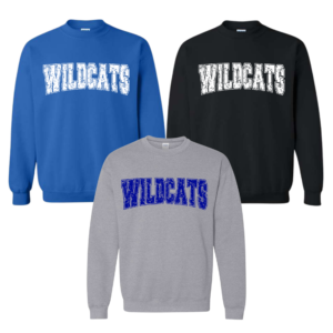 wl softball hoodie (copy)