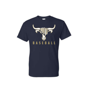 southern heat softball t shirt