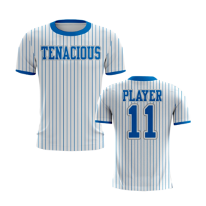 tenacious website mocks (1)