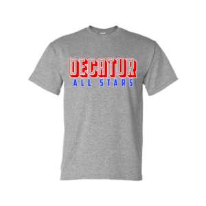 decatur all stars ombre pinstripe jersey
